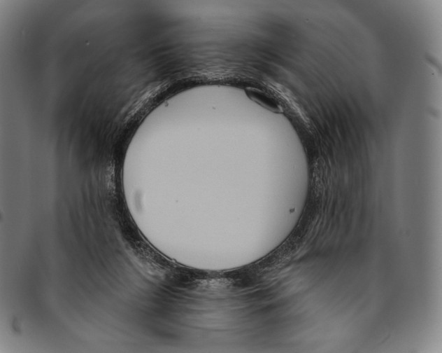 X0000095110212200801041208
