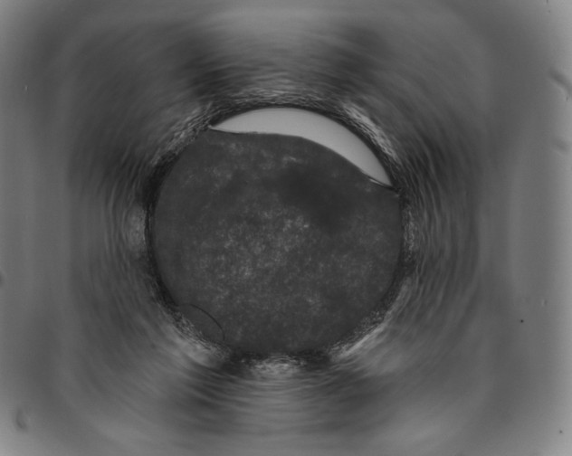 X0000095110213200801041208