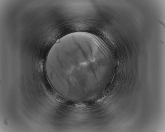 X0000095110214200801041208