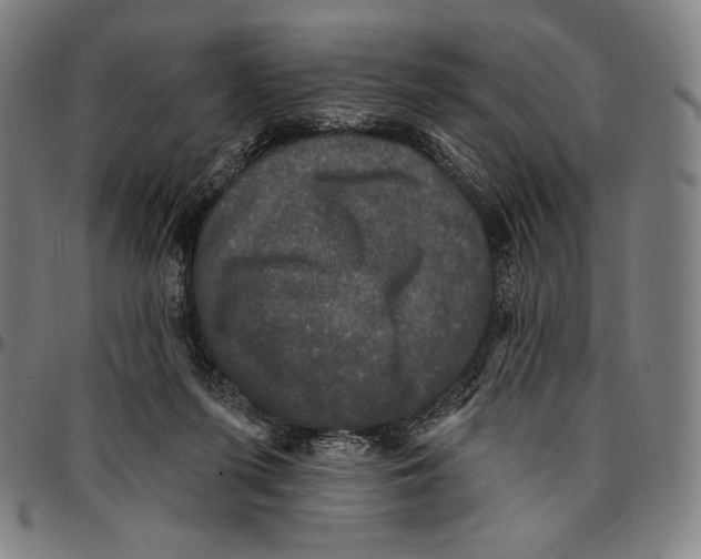 X0000095110215200801041208