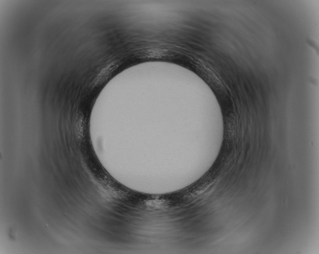 X0000095110216200801041207