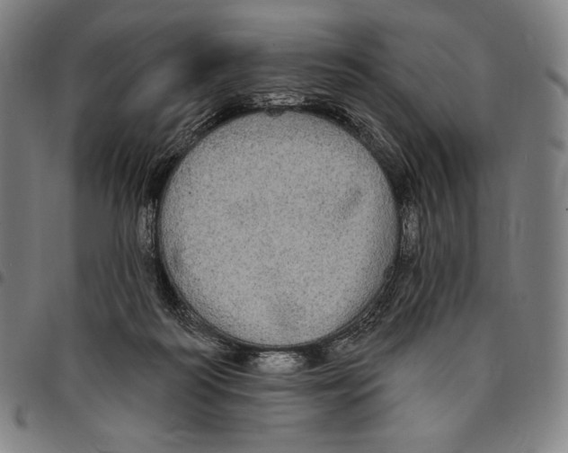 X0000095110218200801041207