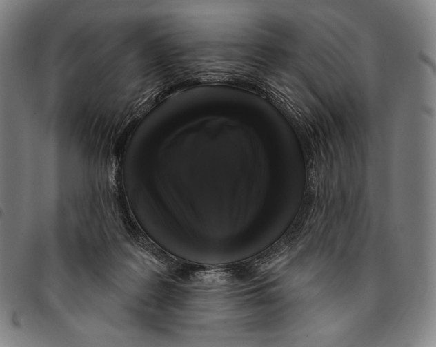 X0000095110219200801041207