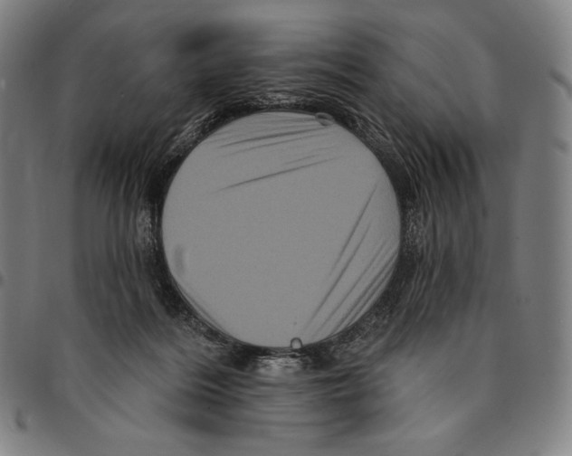 X0000095110220200801041207