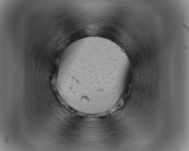 X0000095110221200801041207