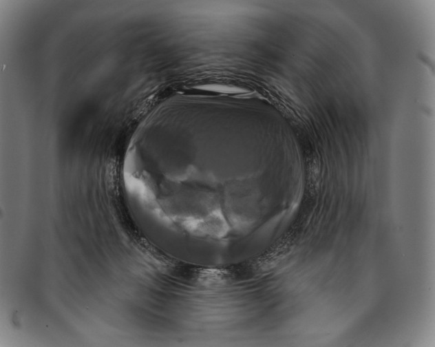X0000095110222200801041207