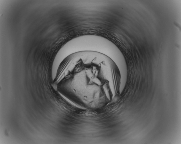 X0000095110223200801041207