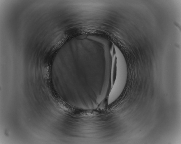 X0000095110224200801041207