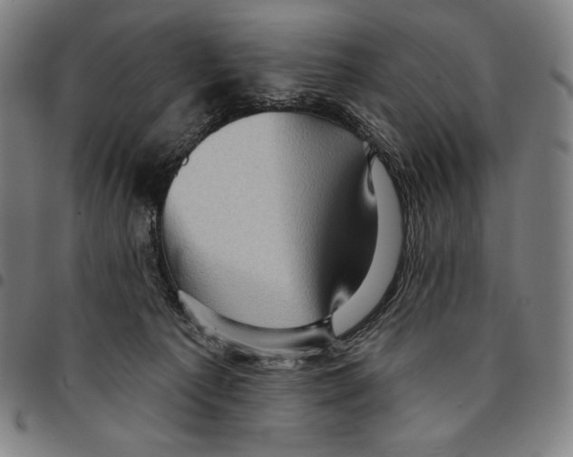 X0000095110225200801041207