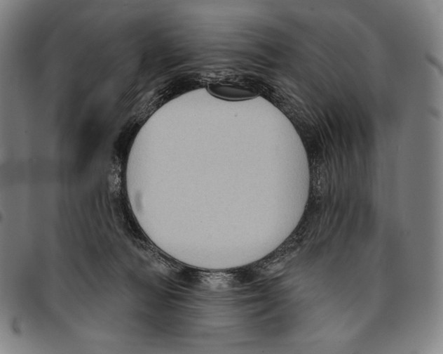X0000095110226200801041207