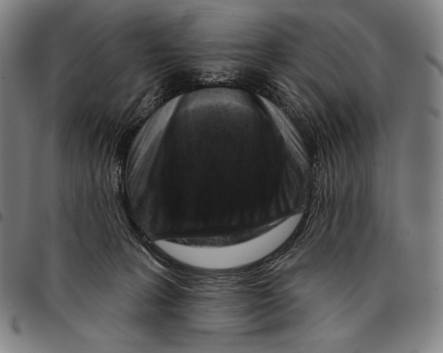 X0000095110227200801041207