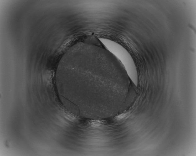 X0000095110229200801041207
