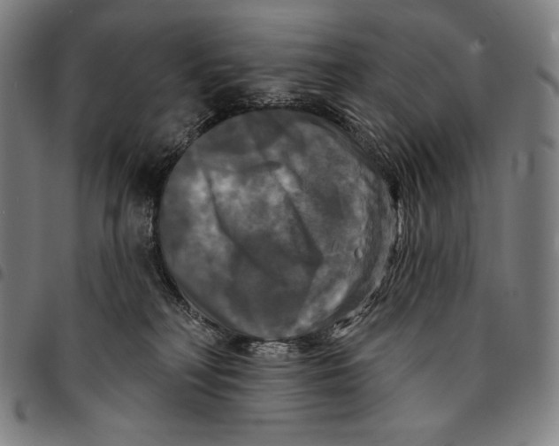X0000095110230200801041207