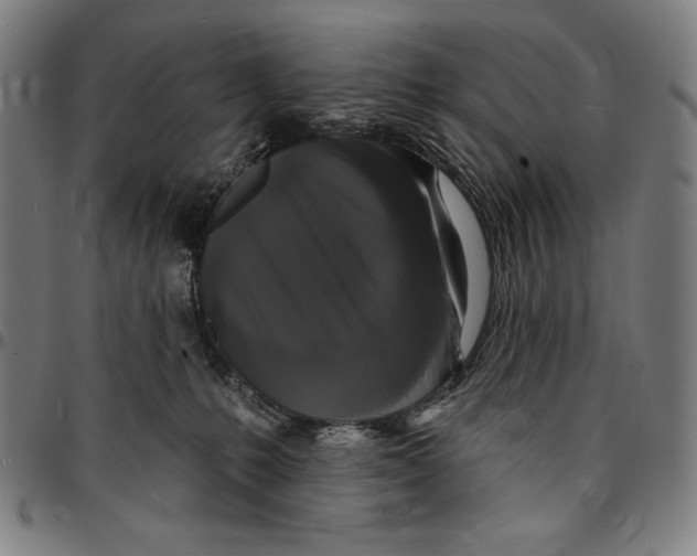 X0000095110231200801041207