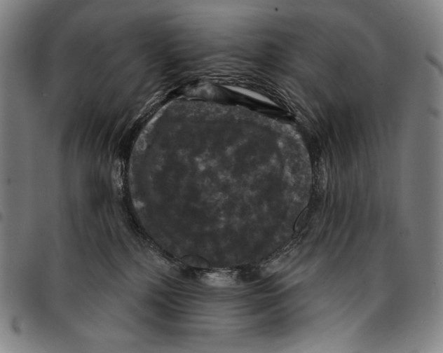 X0000095110232200801041207