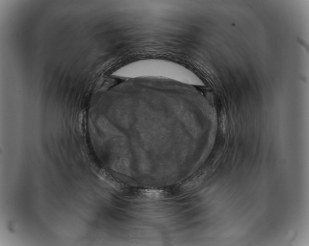 X0000095110233200801041207