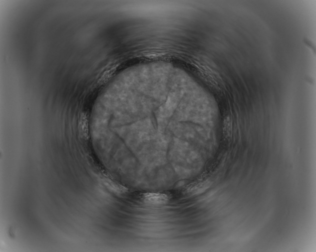 X0000095110234200801041207