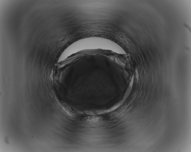 X0000095110235200801041207