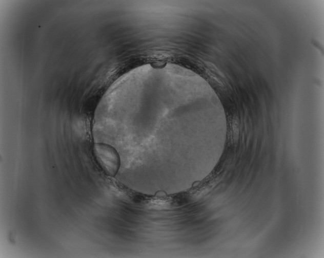 X0000095110236200801041207