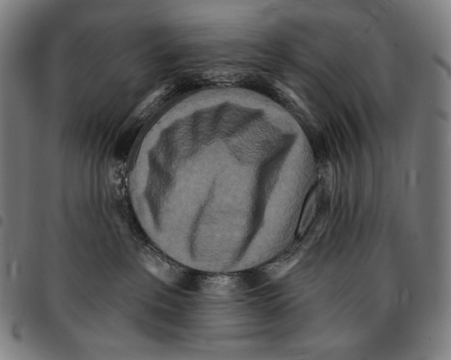 X0000095110237200801041207