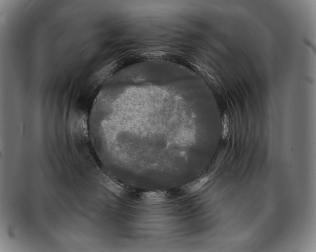 X0000095110238200801041207