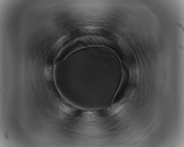 X0000095110239200801041207