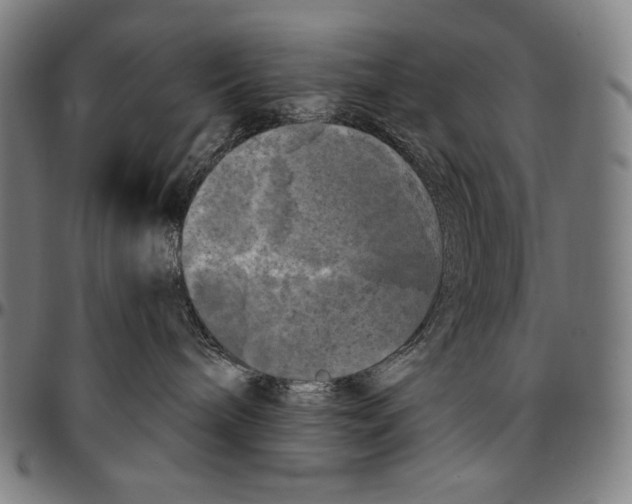 X0000095110240200801041207