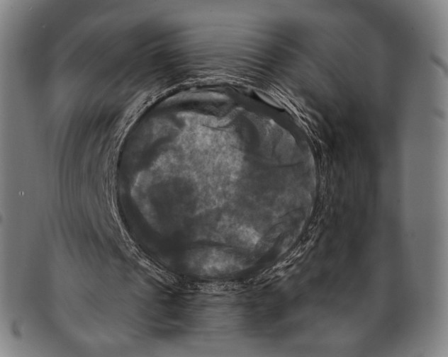 X0000095110241200801041207
