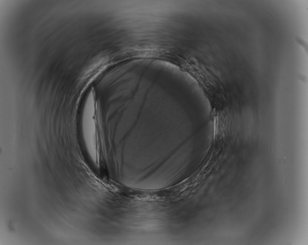 X0000095110243200801041207