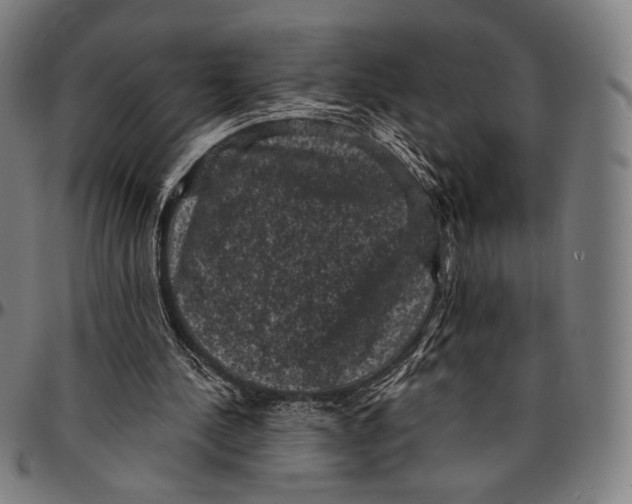 X0000095110244200801041207