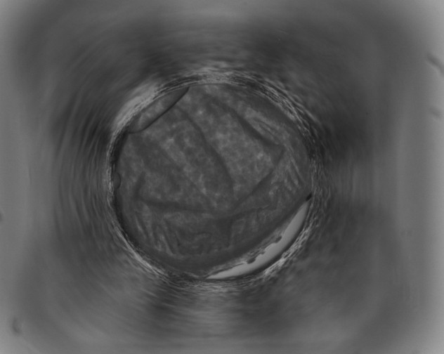 X0000095110245200801041207