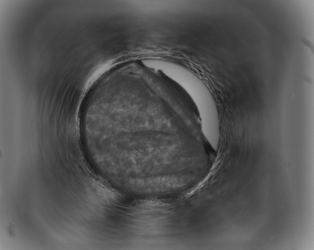 X0000095110246200801041207