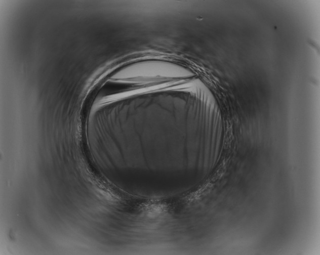 X0000095110247200801041207