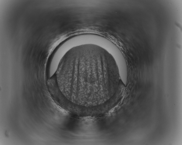 X0000095110248200801041207