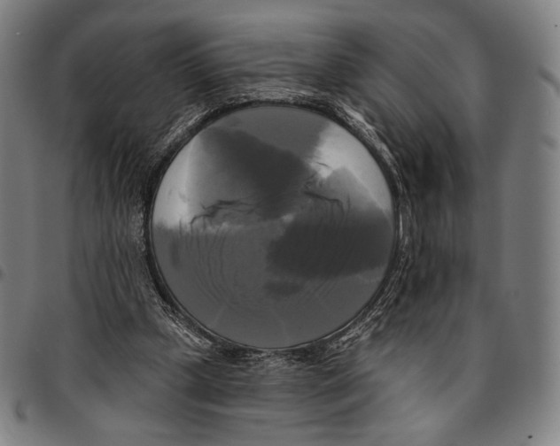 X0000095110249200801041207