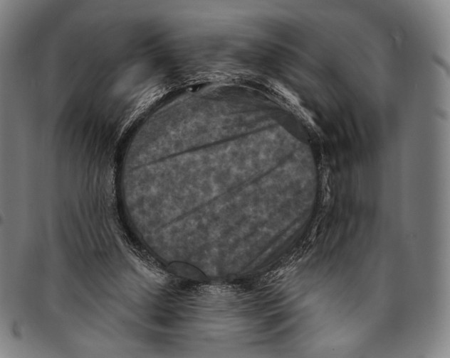 X0000095110250200801041207