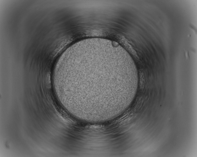 X0000095110251200801041207