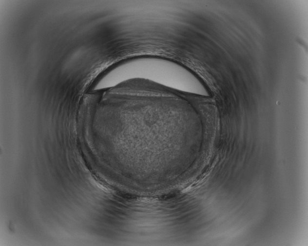 X0000095110252200801041207