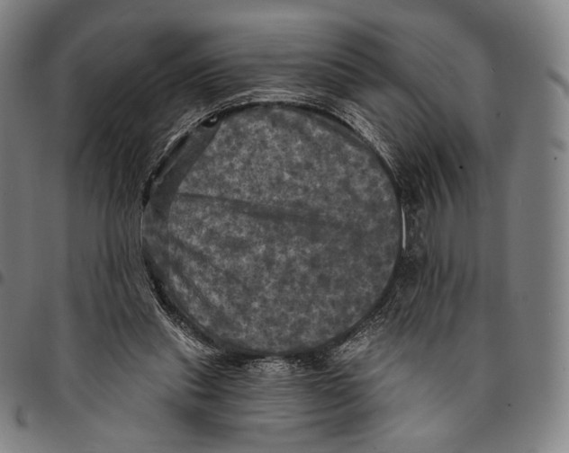 X0000095110253200801041207