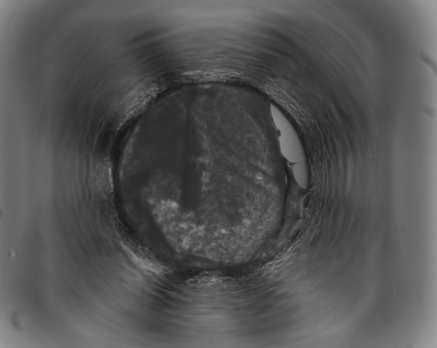 X0000095110254200801041207
