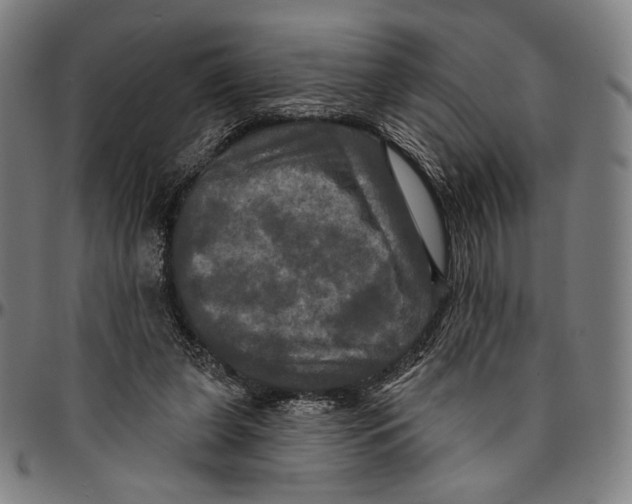 X0000095110255200801041207