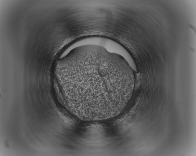 X0000095110256200801041207