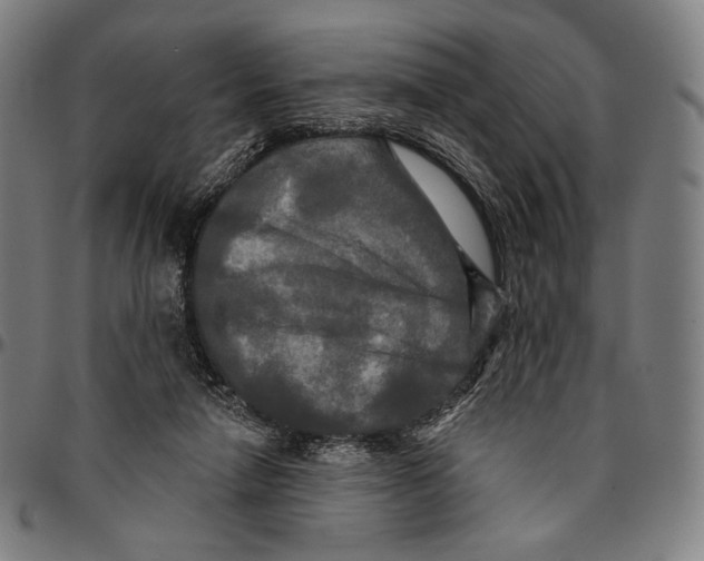 X0000095110258200801041207