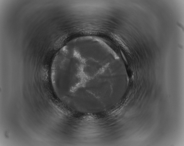X0000095110259200801041207