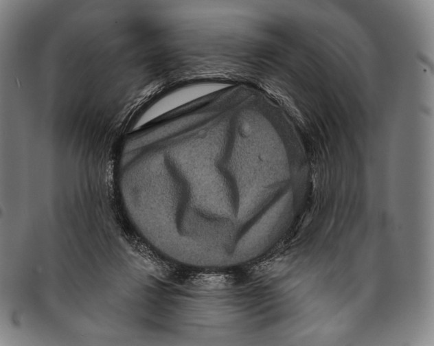 X0000095110260200801041207
