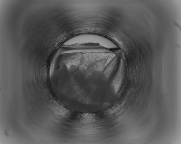 X0000095110261200801041207