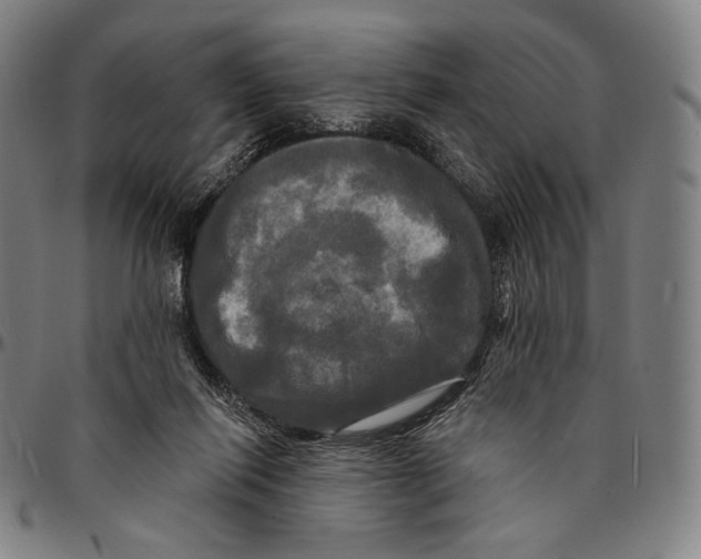 X0000095110262200801041207