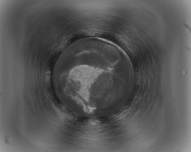 X0000095110263200801041207