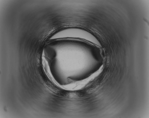 X0000095110264200801041207