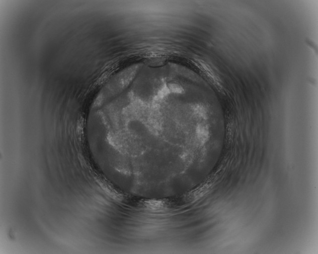 X0000095110265200801041207